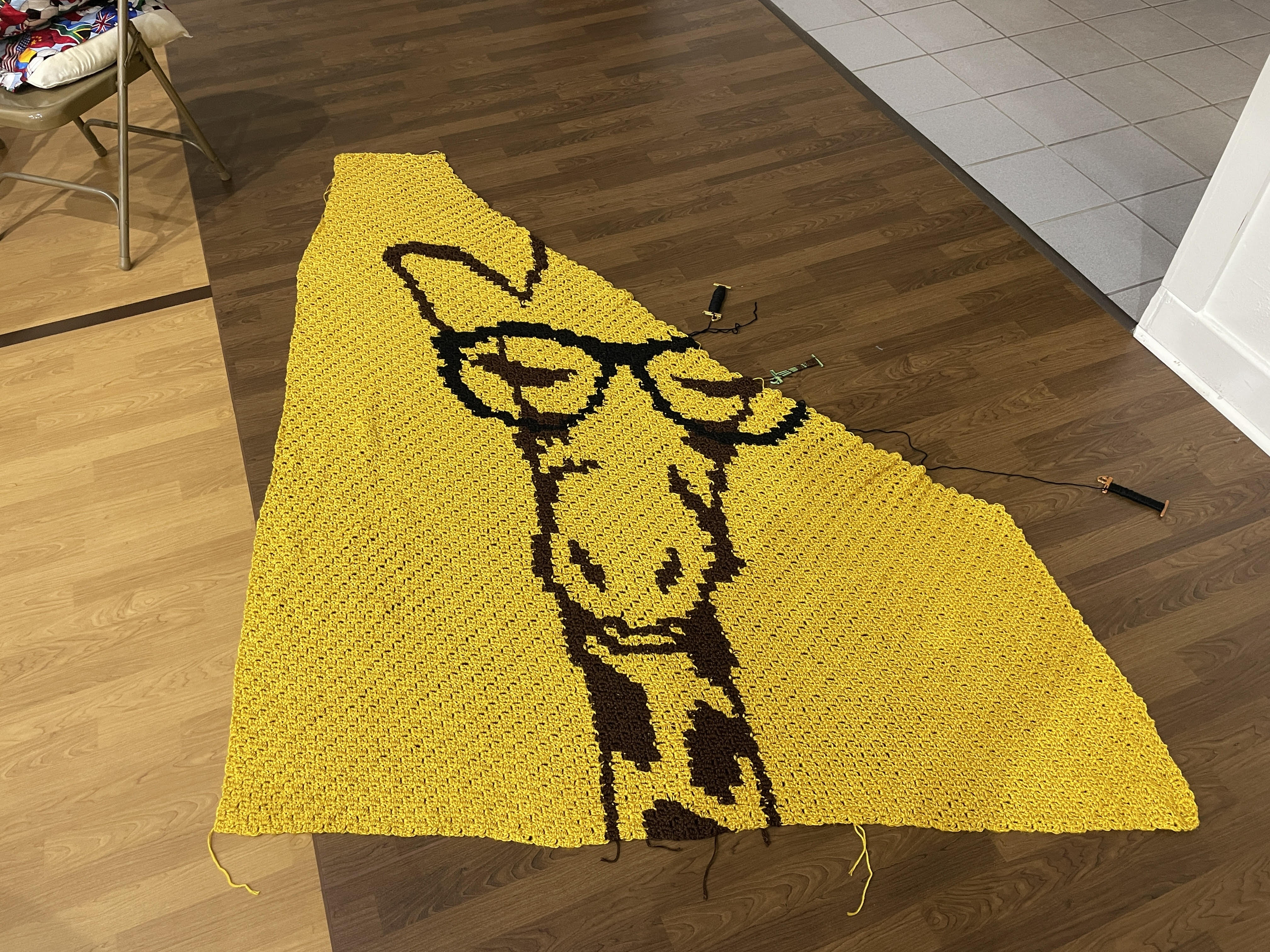 Updare onf giraffe blanket